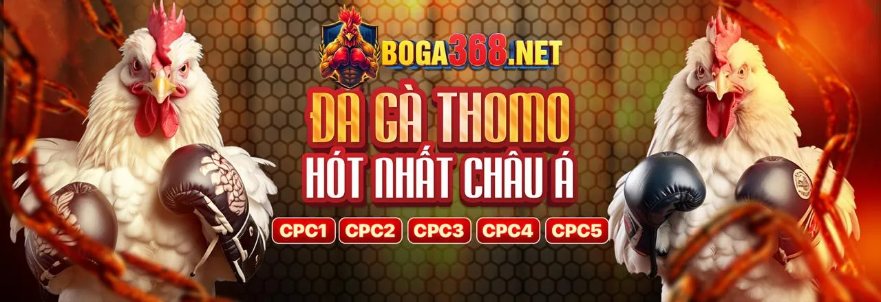 Lịch sử phát triển của nhà cái 1888v